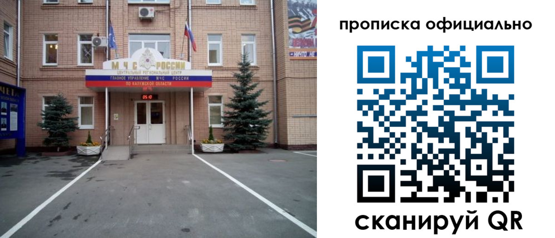 прописка для школы в Домодедово